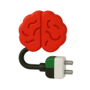 brain